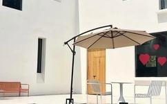 久久丫精品忘忧草西安品